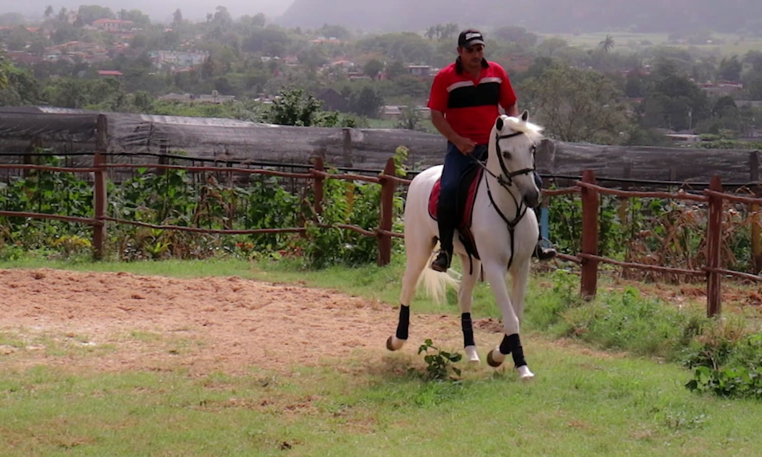 Reit finca El Olivo Viñales